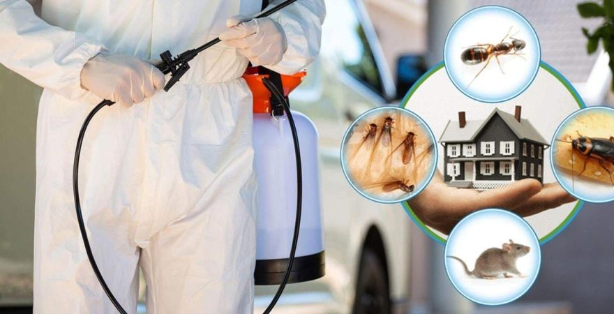 Mavişehir Böcek İlaçlama