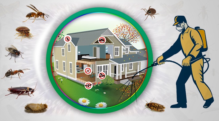 Mavişehir Böcek İlaçlama