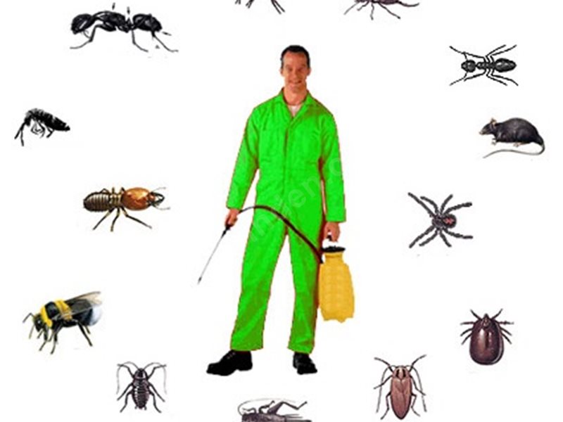 Mavişehir Böcek İlaçlama